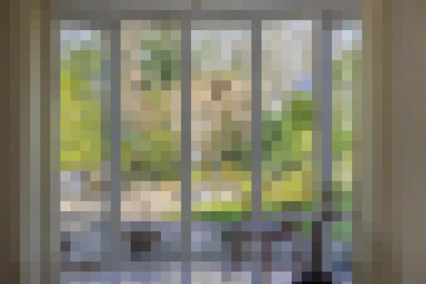 Lekkerbeetjenlaan 116 Vught thumbnail 12