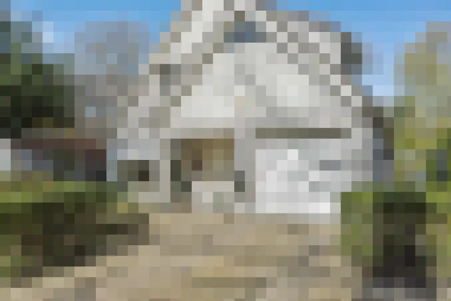 Lekkerbeetjenlaan 116 Vught foto 2