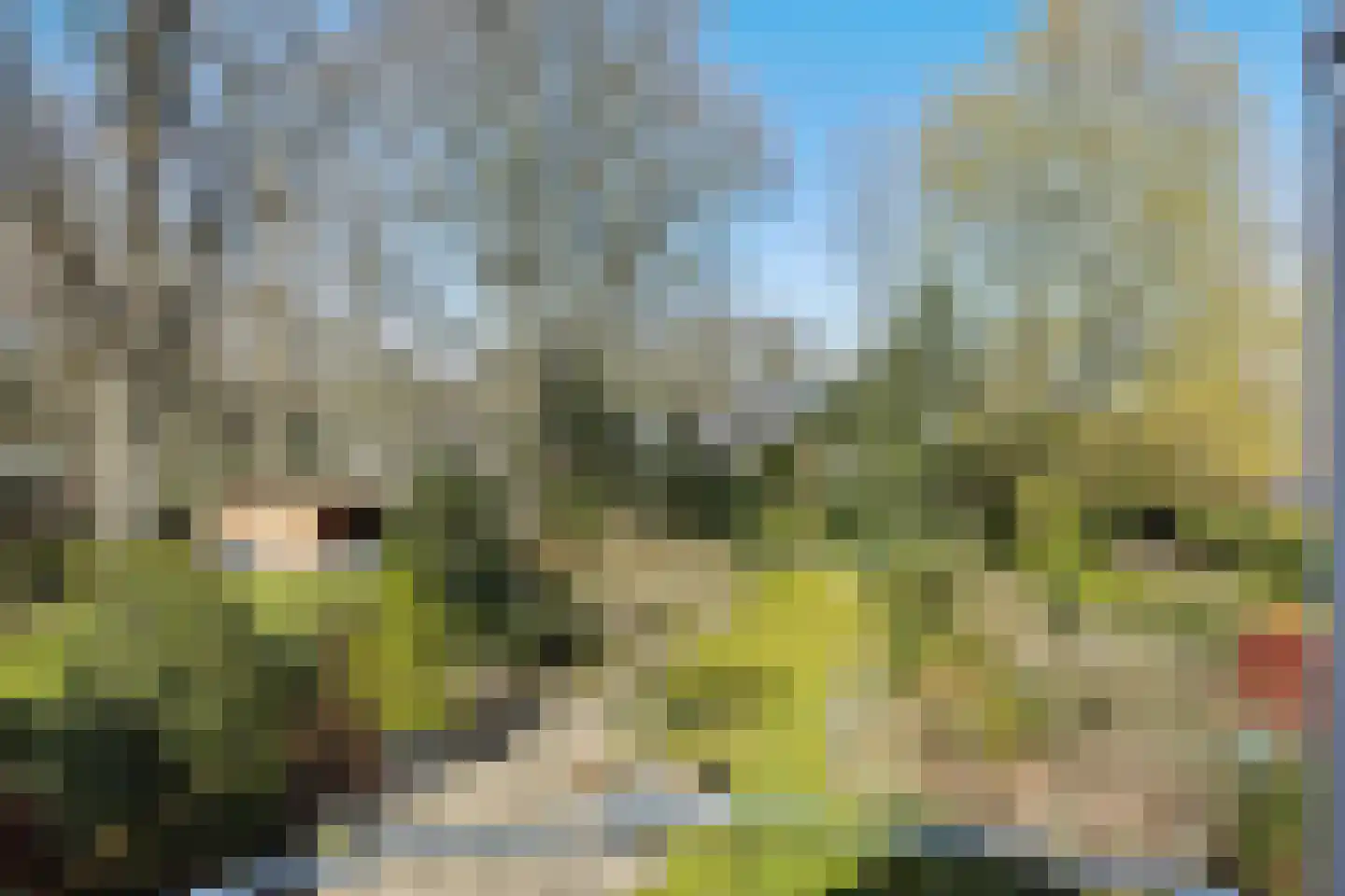 Lekkerbeetjenlaan 116 Vught thumbnail 22