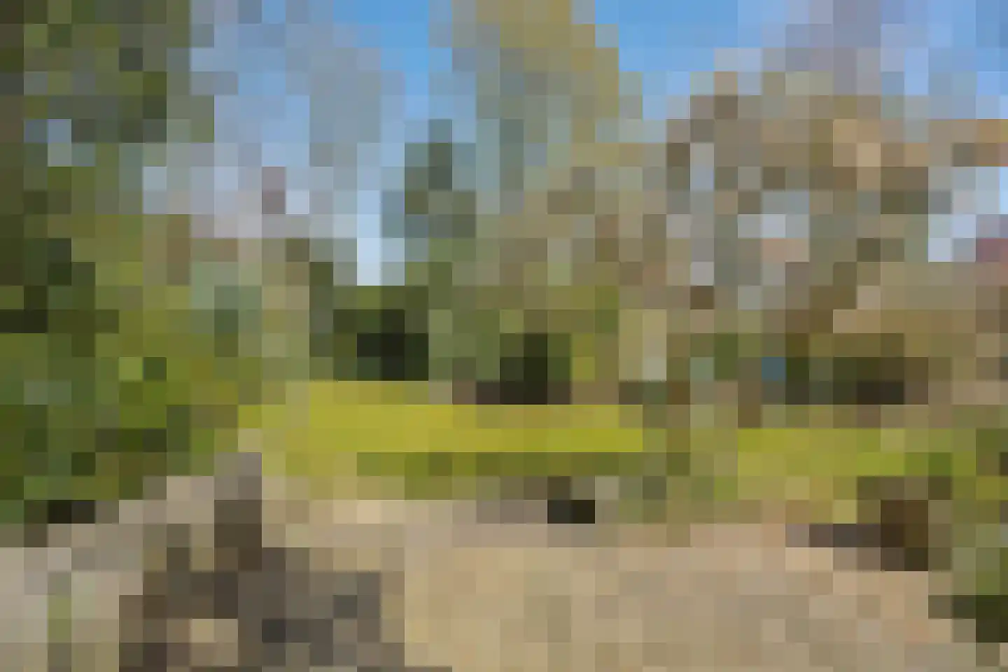 Lekkerbeetjenlaan 116 Vught thumbnail 33