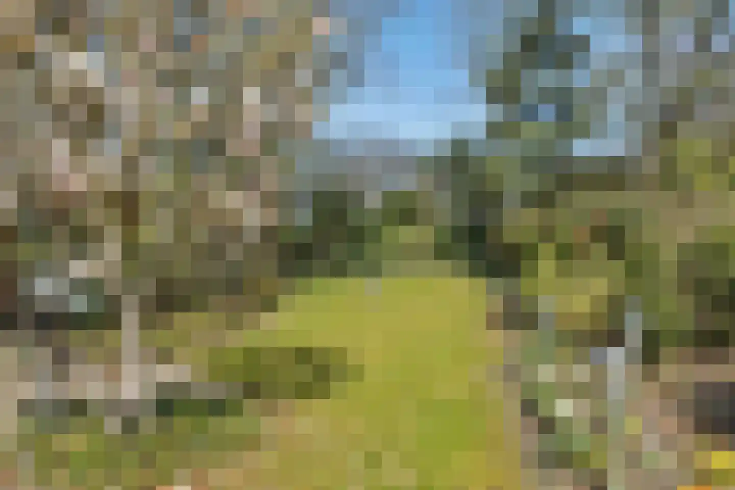 Lekkerbeetjenlaan 116 Vught thumbnail 34