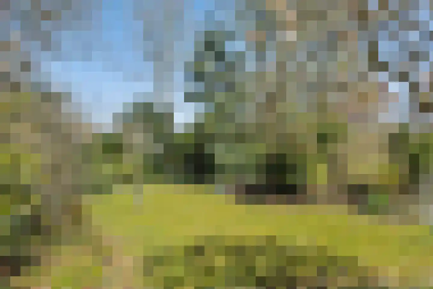 Lekkerbeetjenlaan 116 Vught thumbnail 35