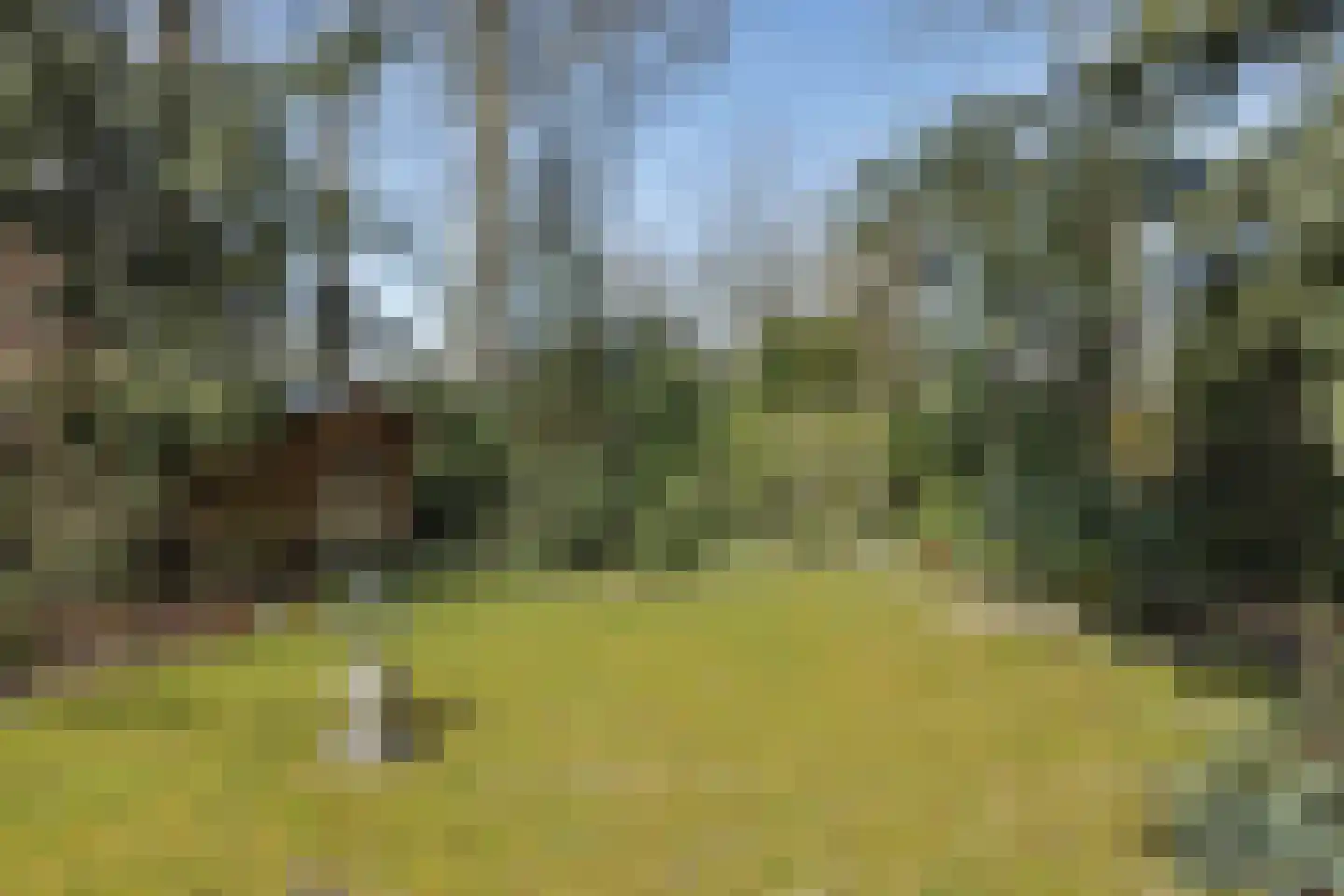 Lekkerbeetjenlaan 116 Vught thumbnail 36