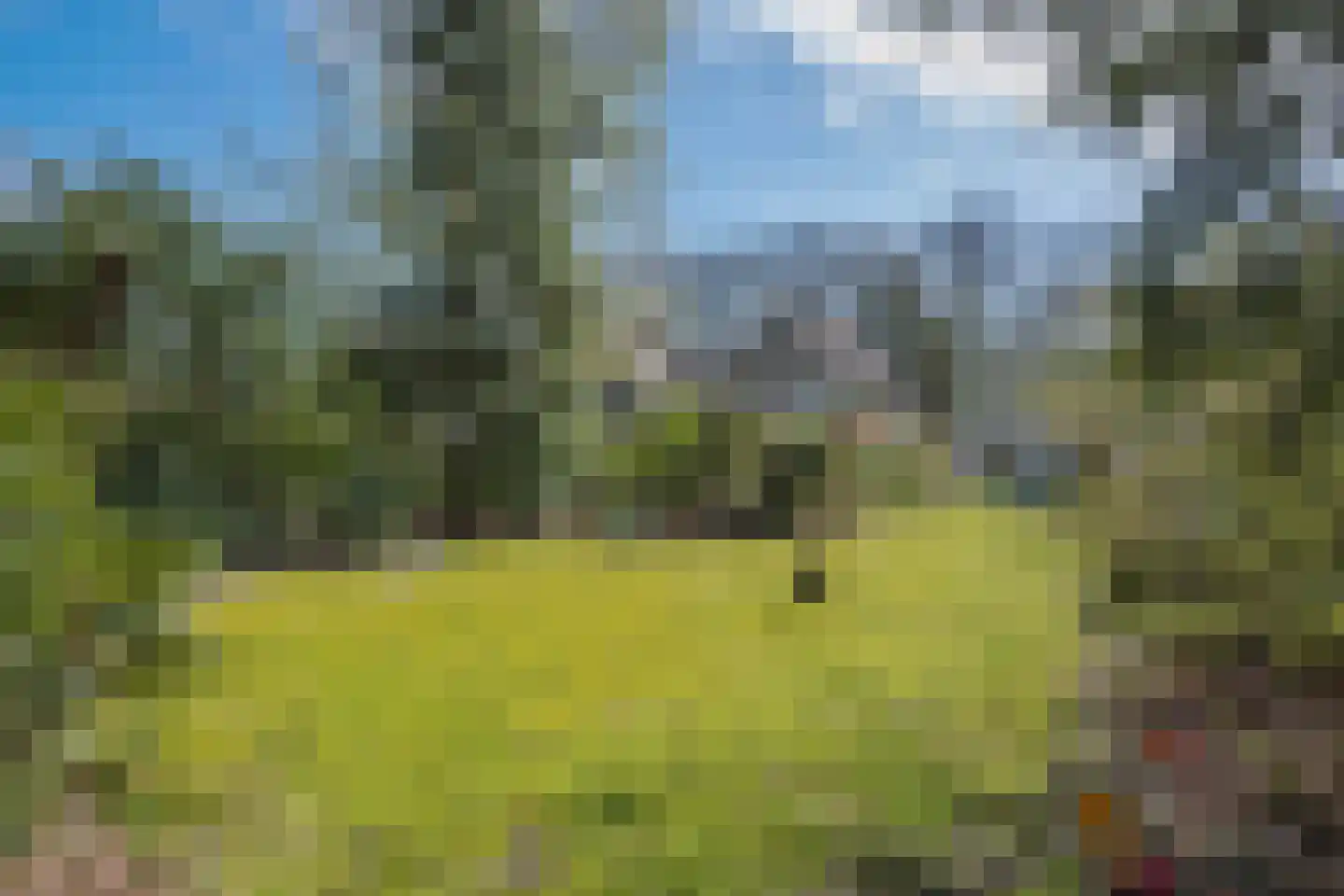 Lekkerbeetjenlaan 116 Vught thumbnail 37