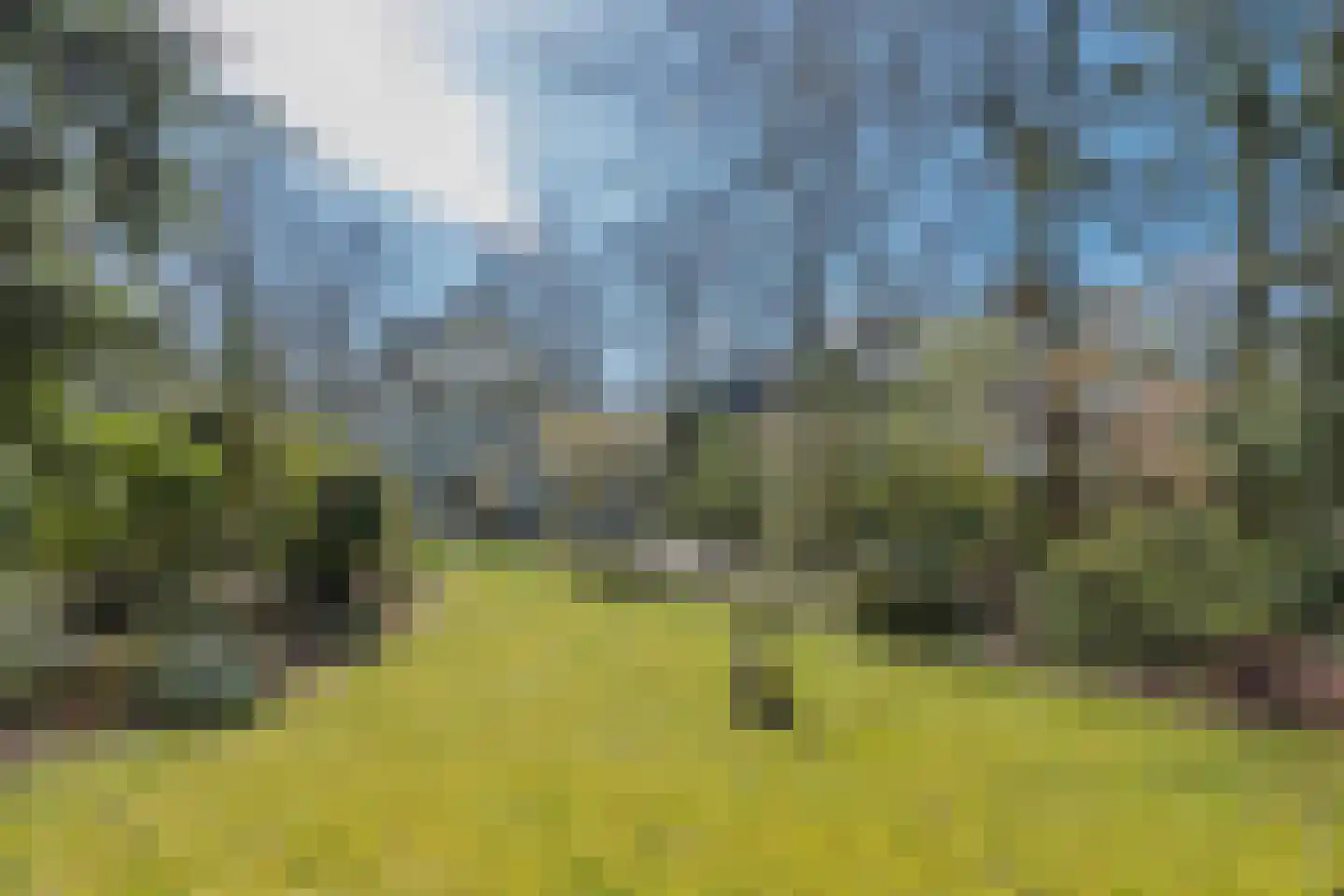 Lekkerbeetjenlaan 116 Vught thumbnail 38