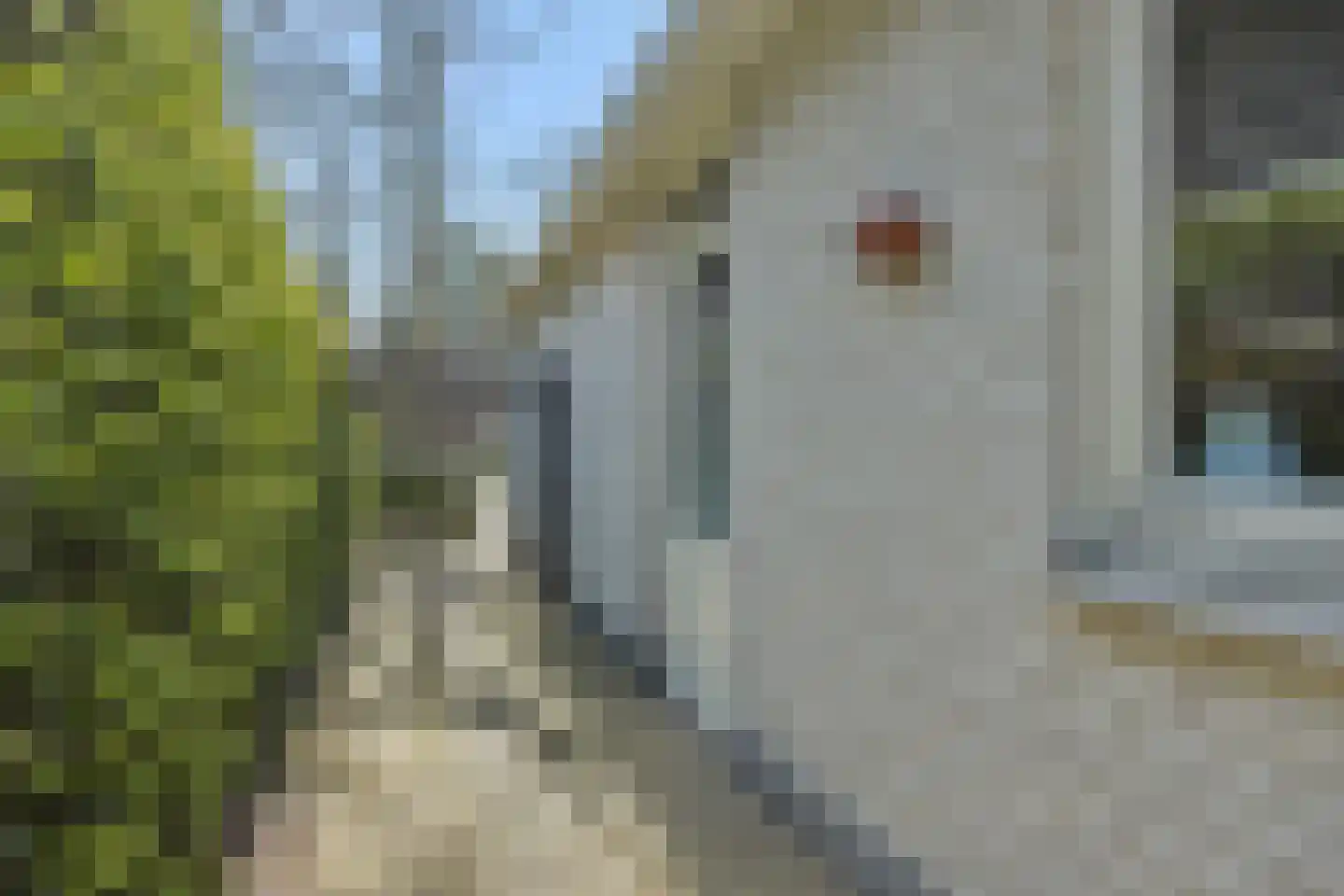 Lekkerbeetjenlaan 116 Vught thumbnail 41
