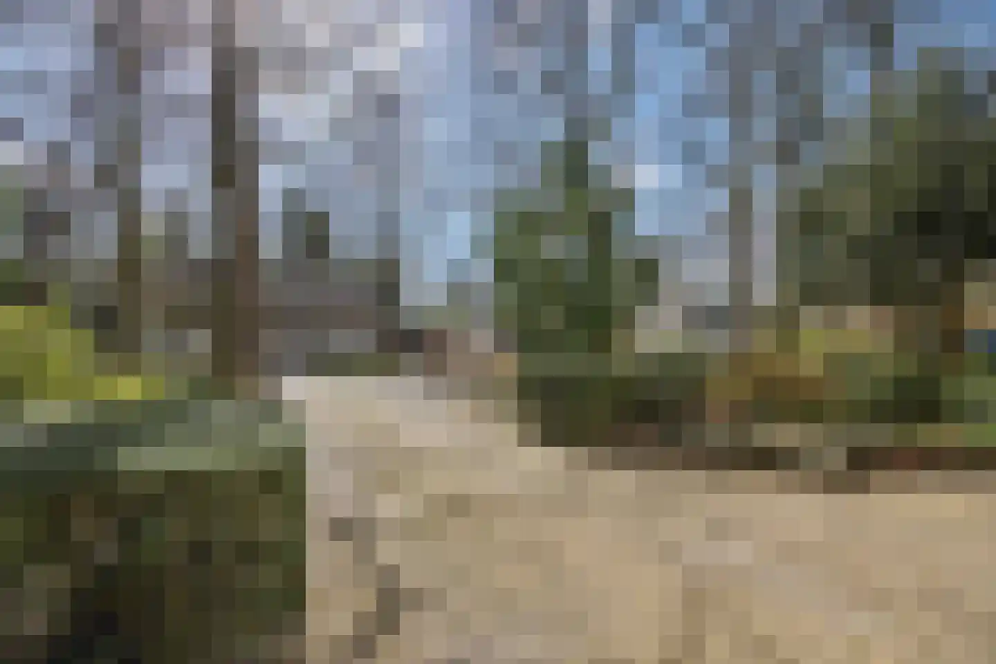 Lekkerbeetjenlaan 116 Vught thumbnail 42