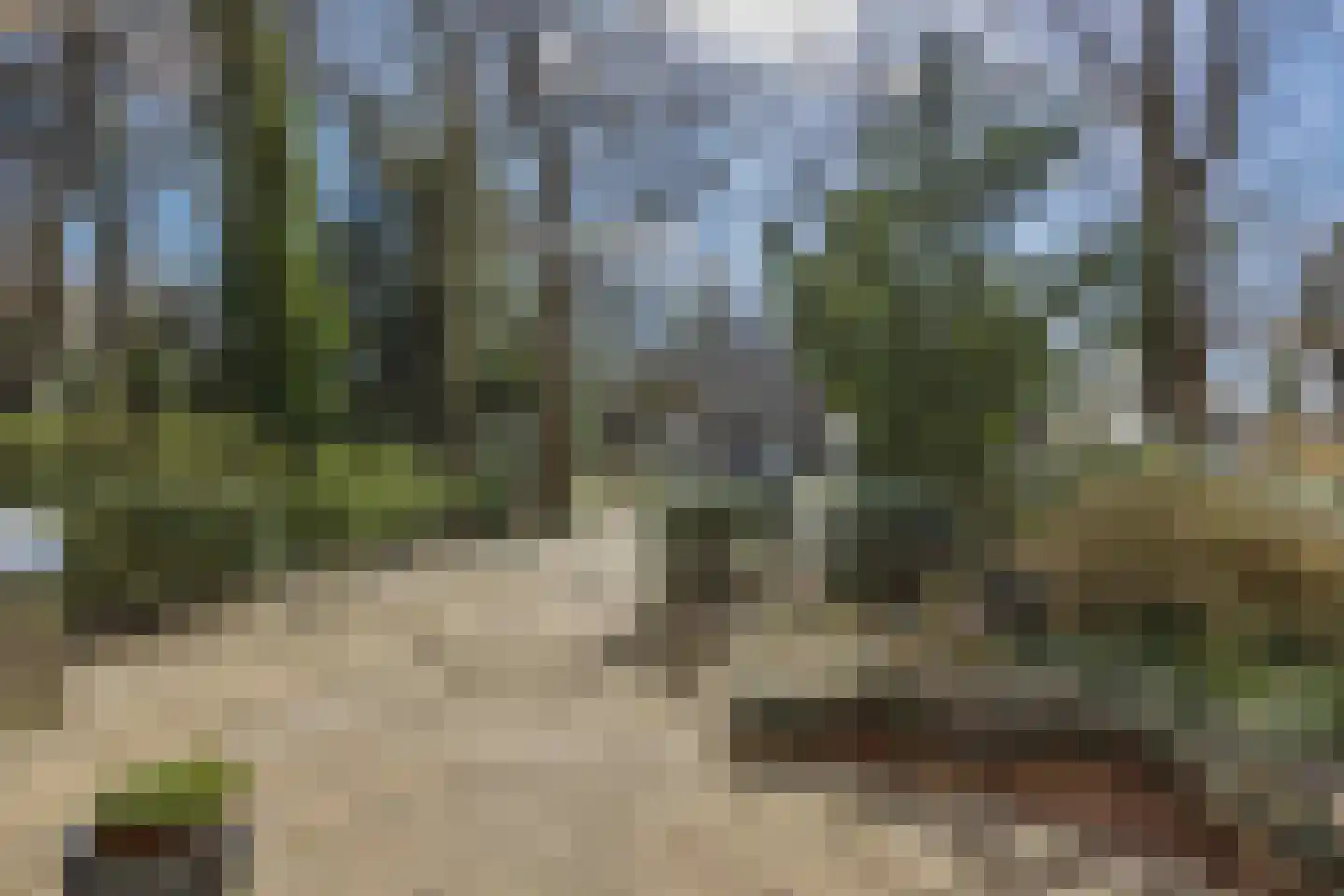 Lekkerbeetjenlaan 116 Vught thumbnail 43