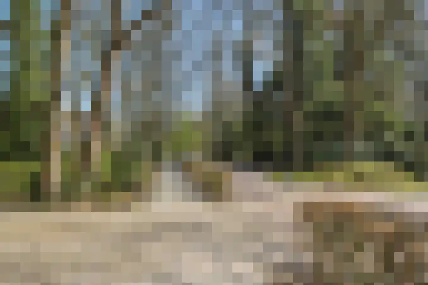 Lekkerbeetjenlaan 116 Vught thumbnail 44