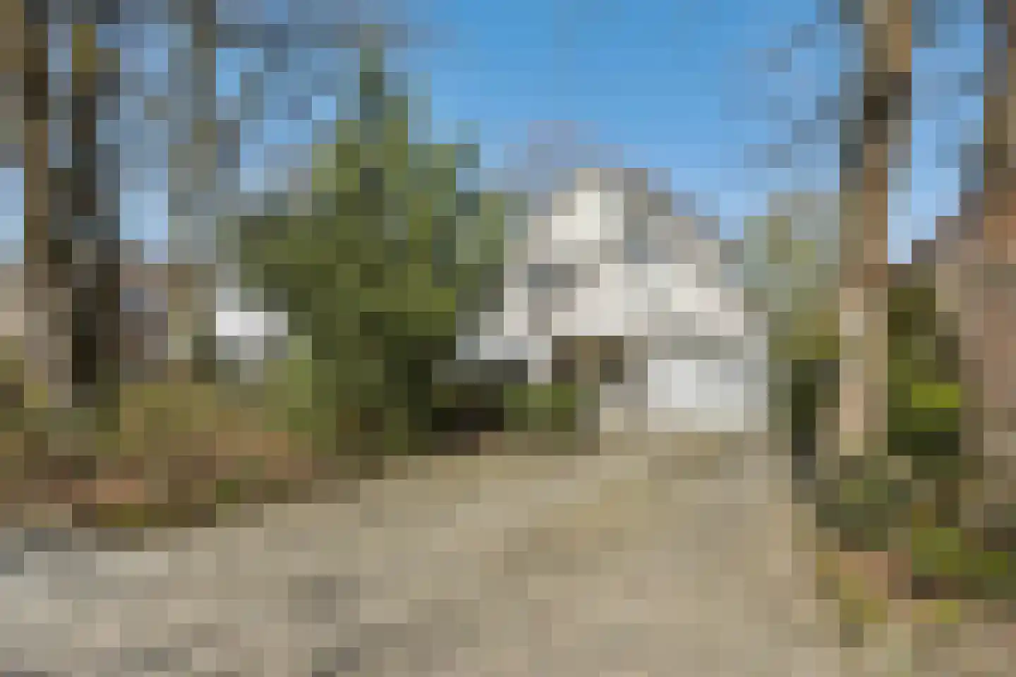 Lekkerbeetjenlaan 116 Vught thumbnail 46