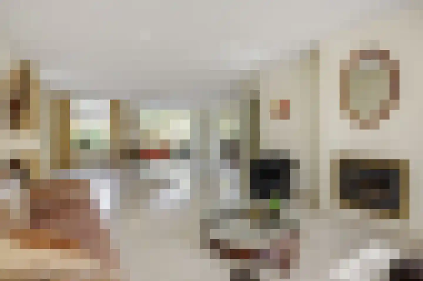Lekkerbeetjenlaan 116 Vught thumbnail 7