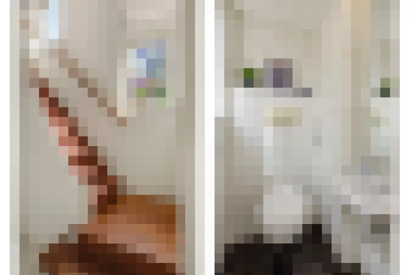 Lekkerbeetjenlaan 32 Vught thumbnail 24