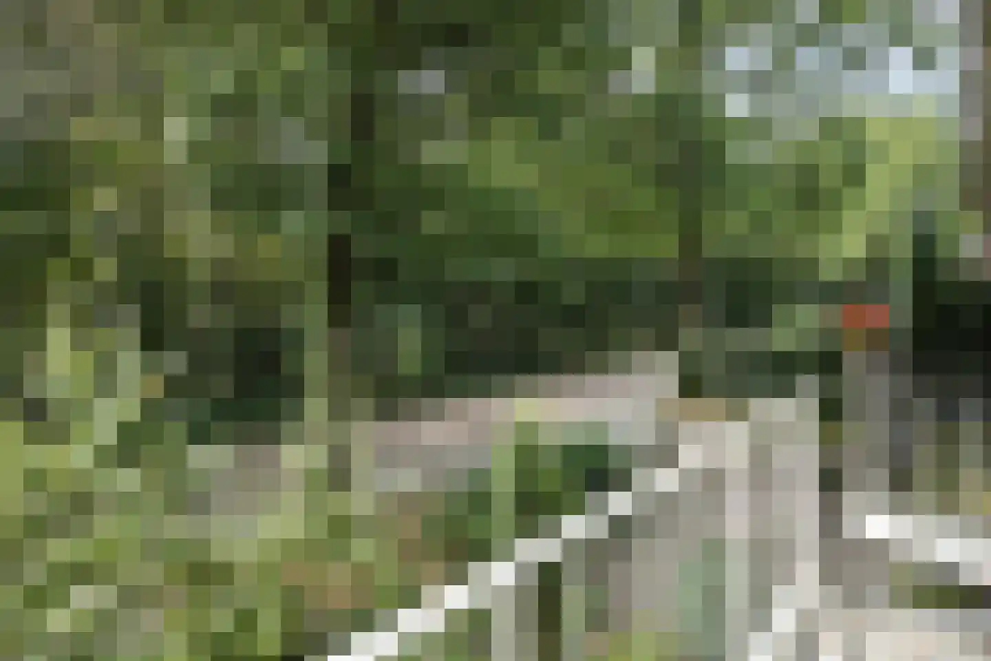 Lekkerbeetjenlaan 32 Vught thumbnail 32