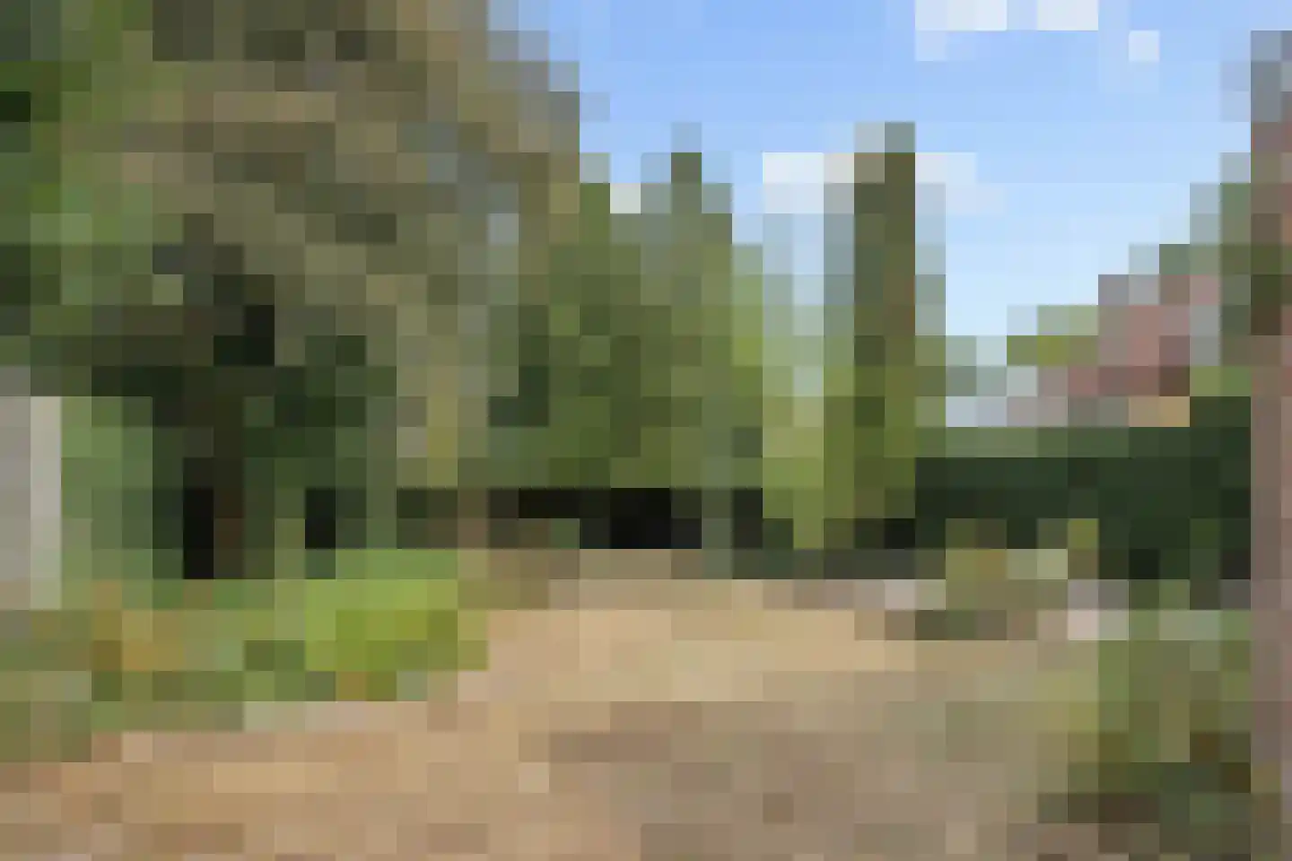 Lekkerbeetjenlaan 32 Vught thumbnail 42