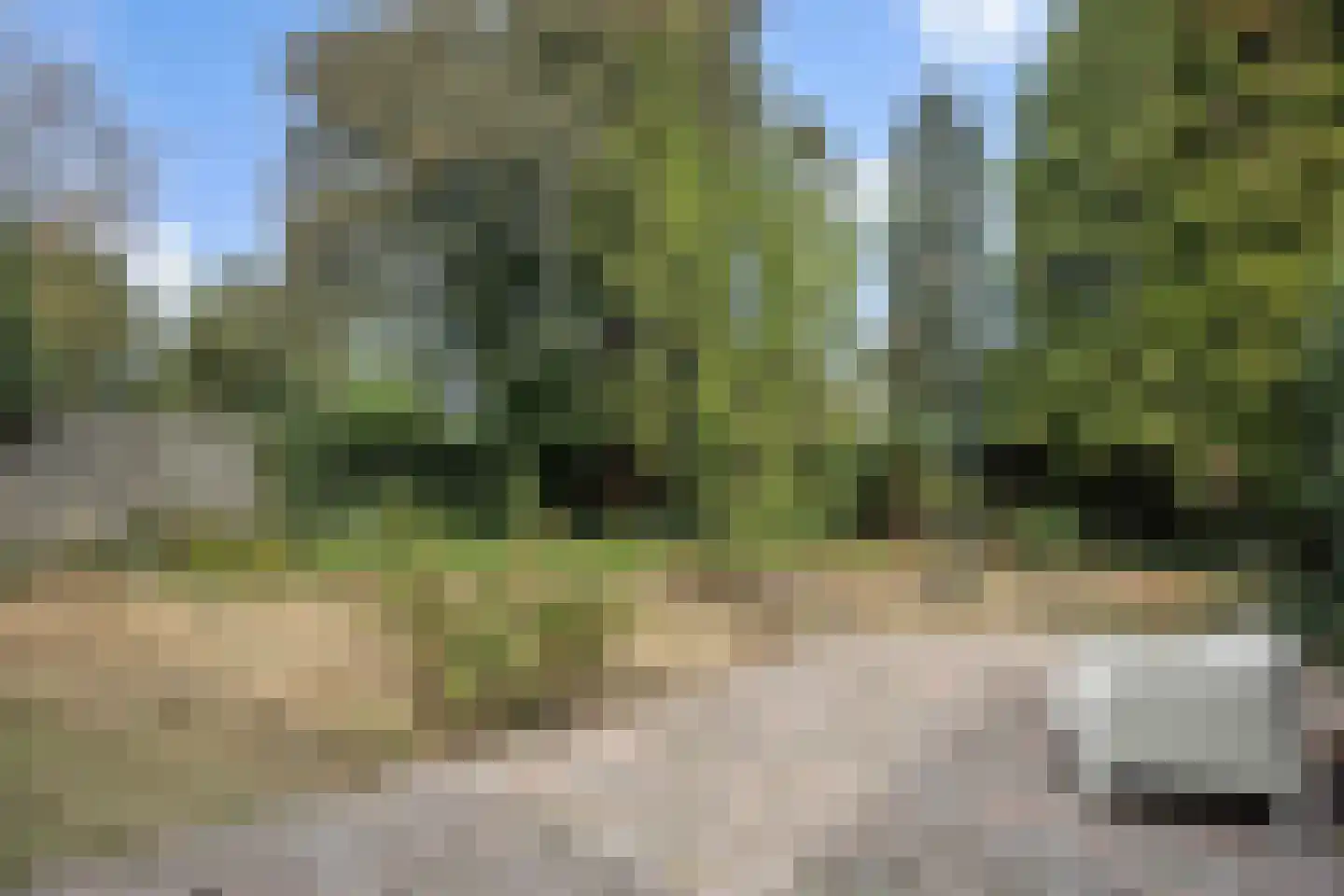 Lekkerbeetjenlaan 32 Vught thumbnail 43