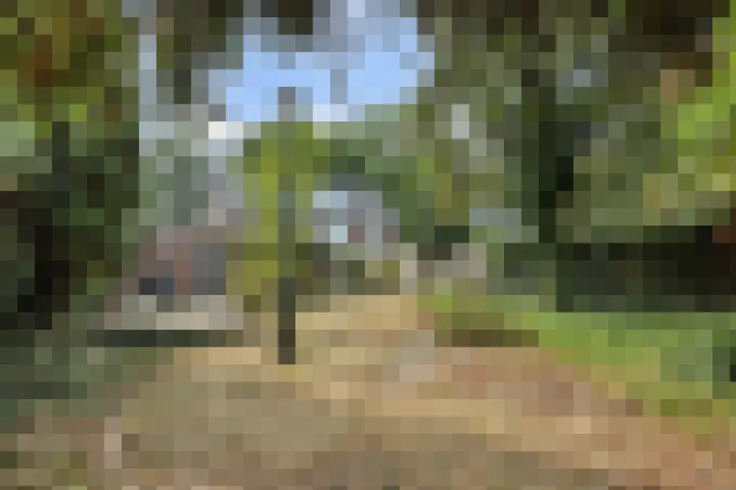 Lekkerbeetjenlaan 32 Vught thumbnail 44