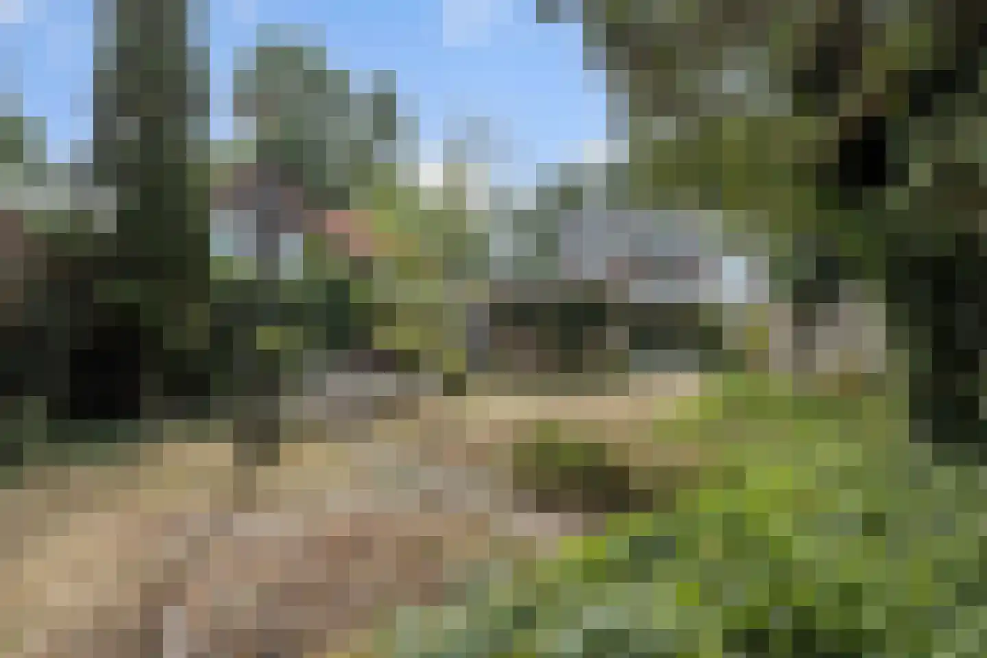Lekkerbeetjenlaan 32 Vught thumbnail 45