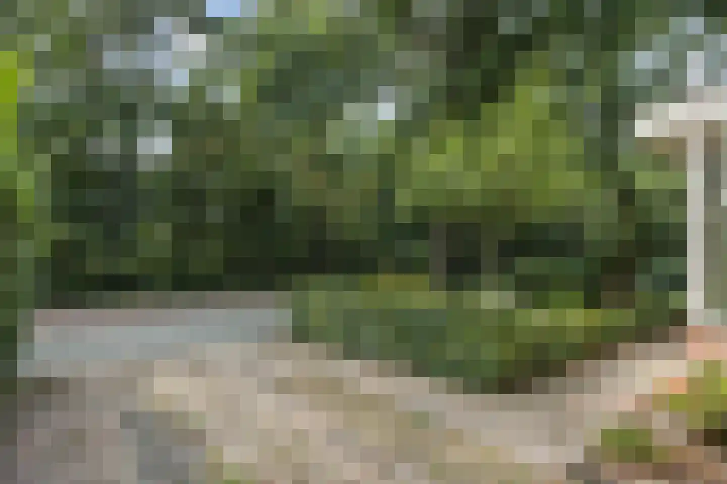 Lekkerbeetjenlaan 32 Vught thumbnail 50