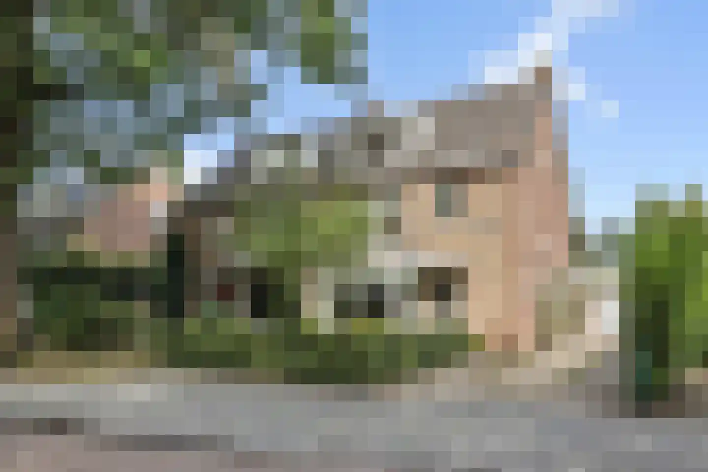 Lekkerbeetjenlaan 32 Vught thumbnail 51