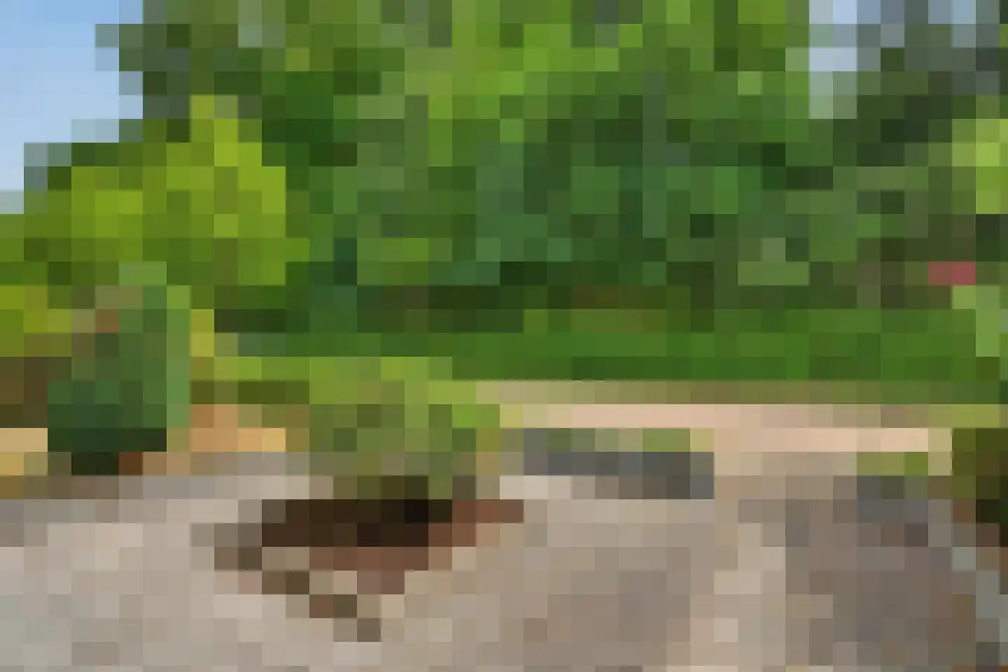 Lekkerbeetjenlaan 64 Vught thumbnail 46