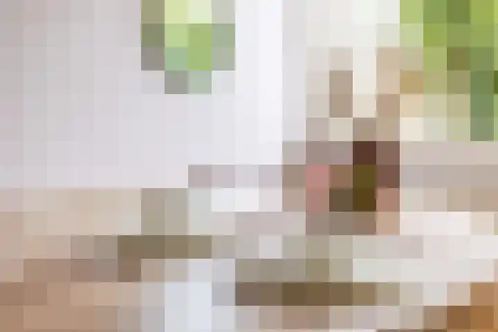Lekkerbeetjenlaan 70 Vught thumbnail 14