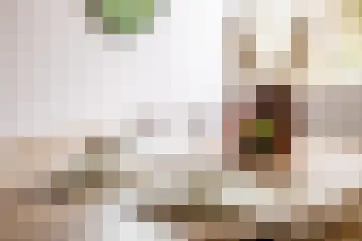 Lekkerbeetjenlaan 70 Vught thumbnail 23