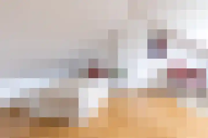Lekkerbeetjenlaan 70 Vught thumbnail 41