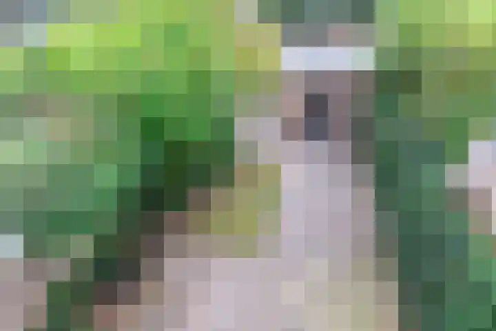 Lekkerbeetjenlaan 70 Vught thumbnail 44