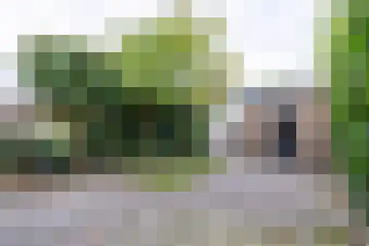 Lekkerbeetjenlaan 70 Vught thumbnail 46