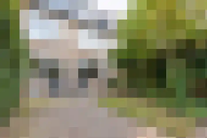 Lekkerbeetjenlaan 70 Vught thumbnail 47