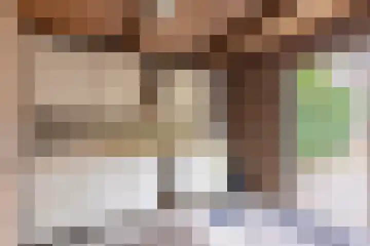 Lekkerbeetjenlaan 70 Vught thumbnail 50