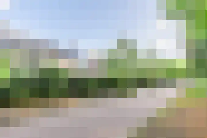 Lekkerbeetjenlaan 70 Vught thumbnail 52