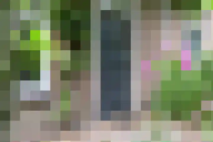 Lekkerbeetjenlaan 70 Vught thumbnail 6