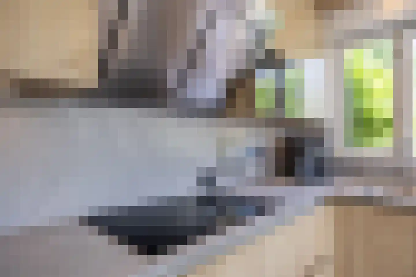 Lekkerbeetjenlaan 80 Vught thumbnail 16