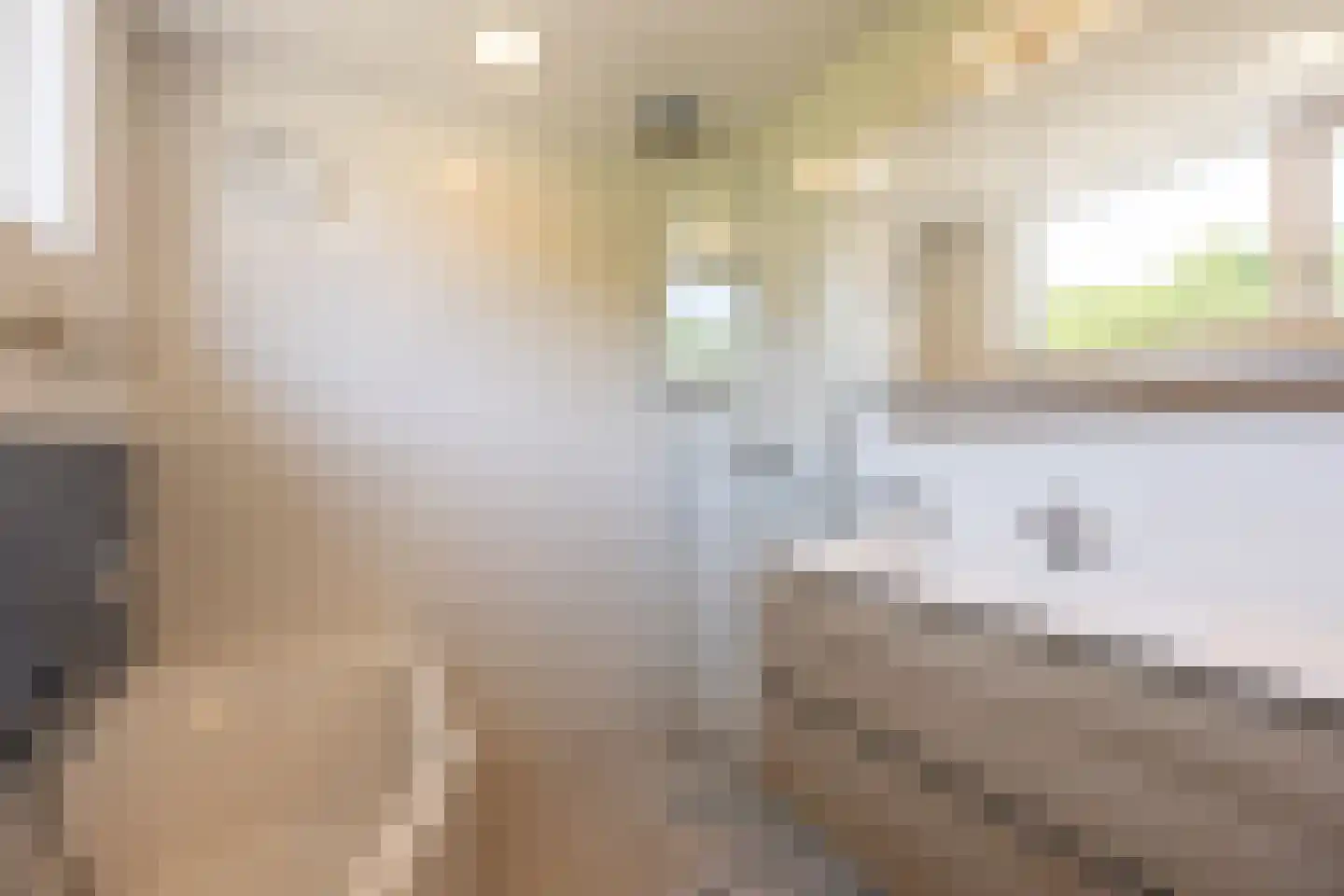 Lekkerbeetjenlaan 80 Vught thumbnail 25