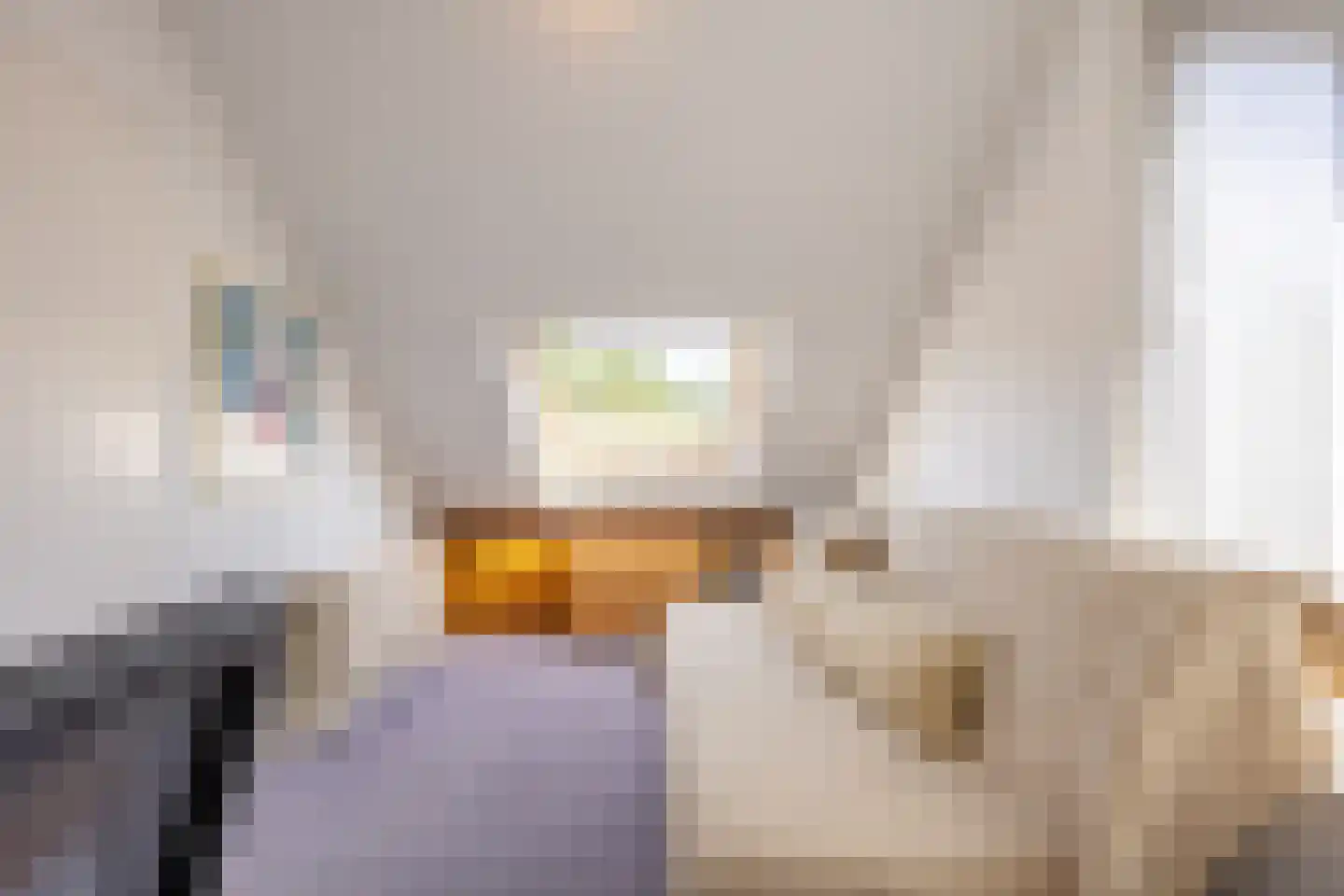 Lekkerbeetjenlaan 80 Vught thumbnail 27