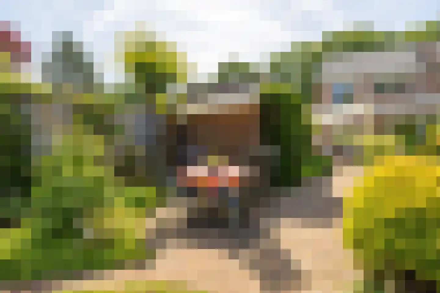 Lekkerbeetjenlaan 80 Vught thumbnail 28