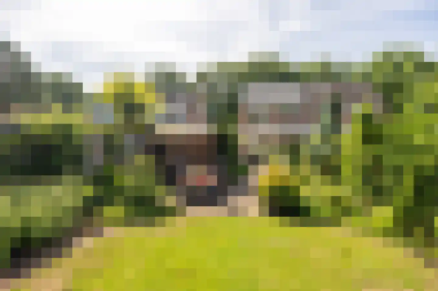 Lekkerbeetjenlaan 80 Vught foto 3