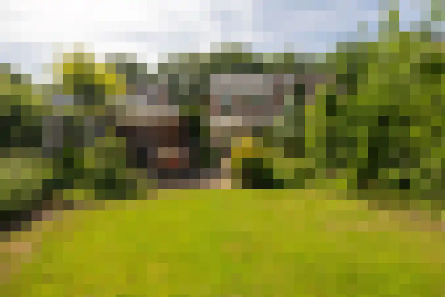 Lekkerbeetjenlaan 80 Vught thumbnail 31