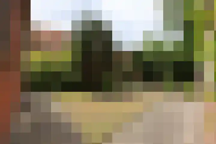 Lekkumerweg 83 Leeuwarden thumbnail 10