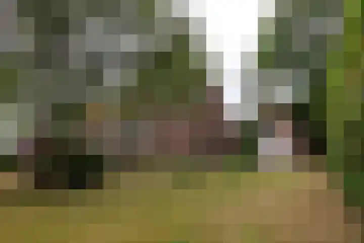 Lekkumerweg 83 Leeuwarden thumbnail 4