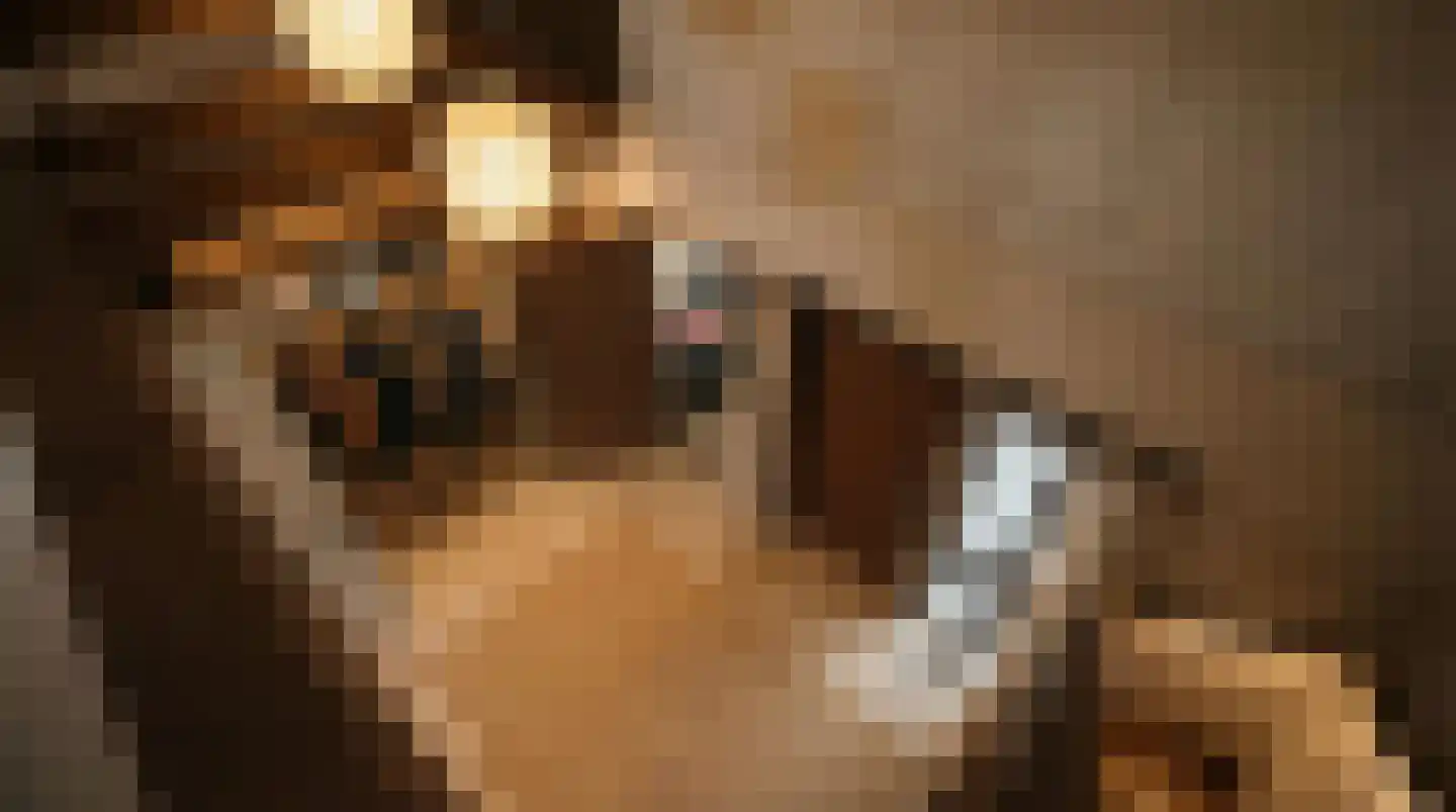 Leklaan 26 Ridderkerk thumbnail 12