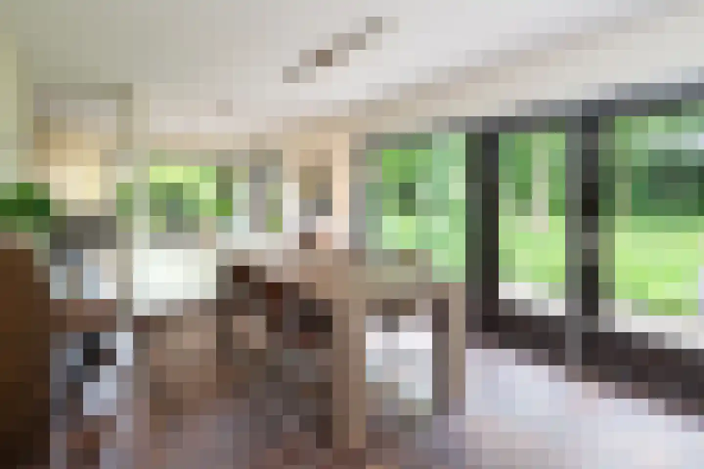 Leklaan 26 Ridderkerk thumbnail 16