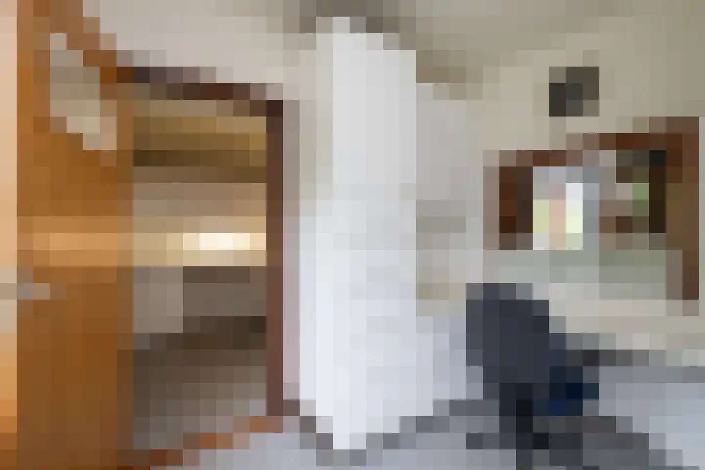 Leklaan 26 Ridderkerk thumbnail 22