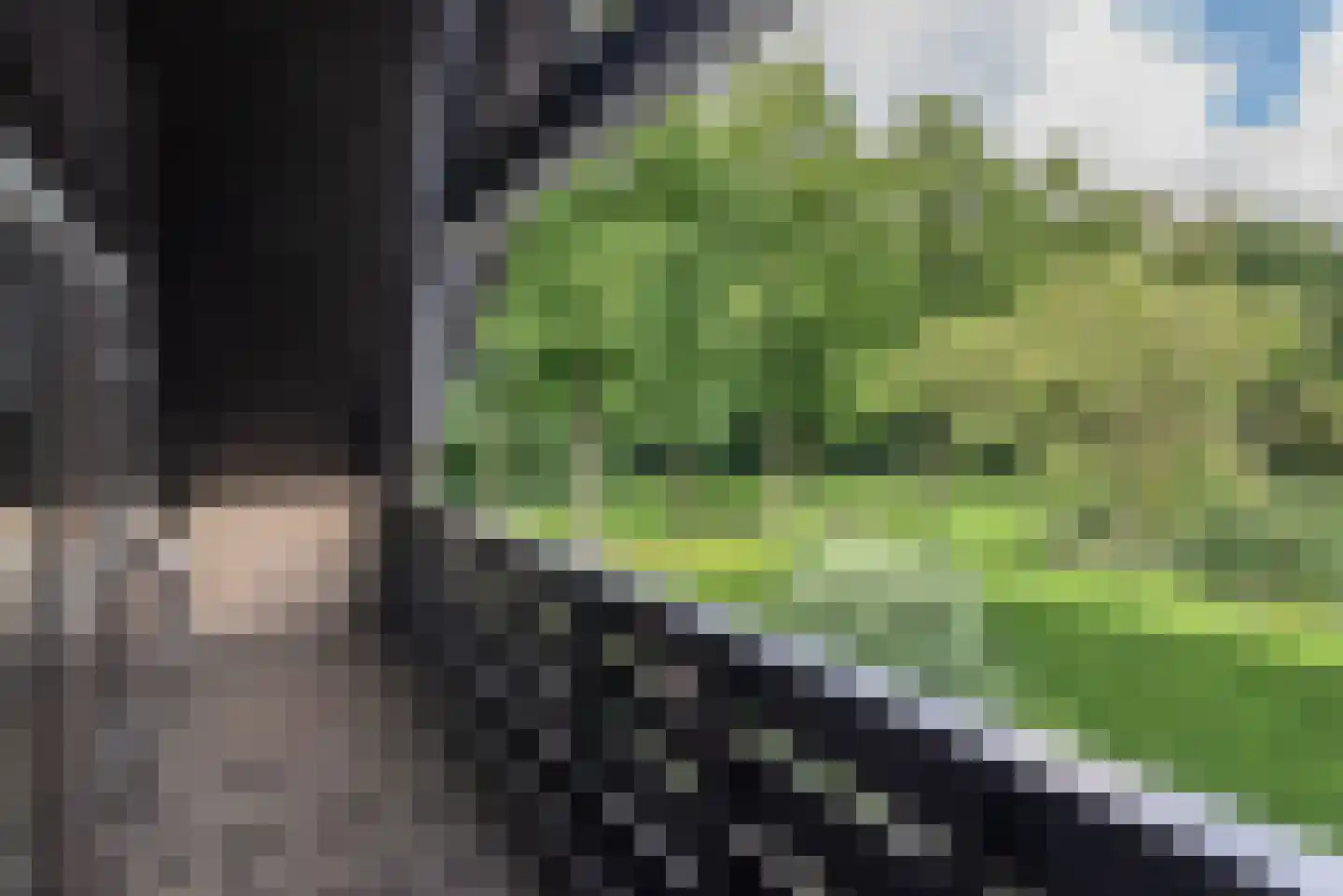 Leklaan 26 Ridderkerk thumbnail 31