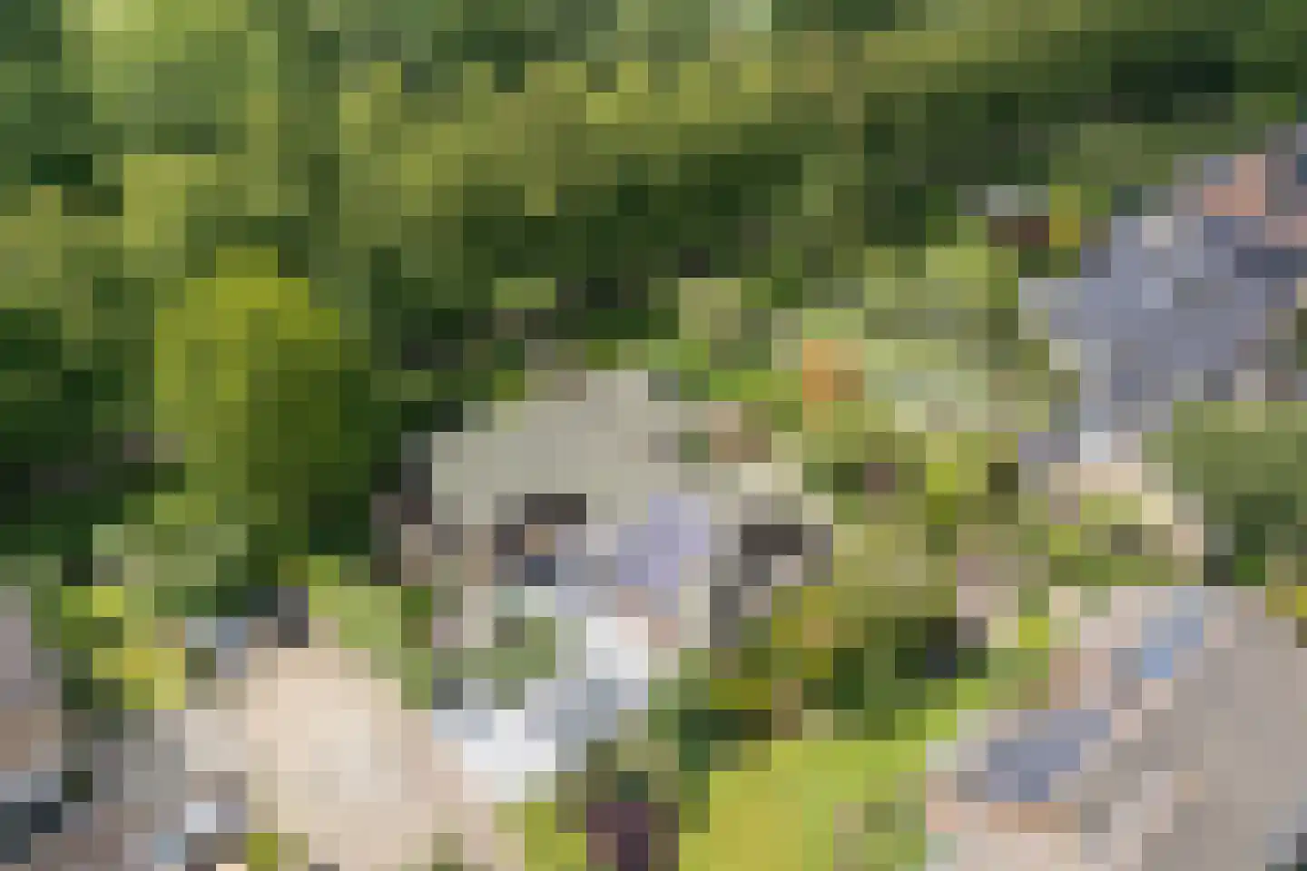 Leklaan 26 Ridderkerk thumbnail 33