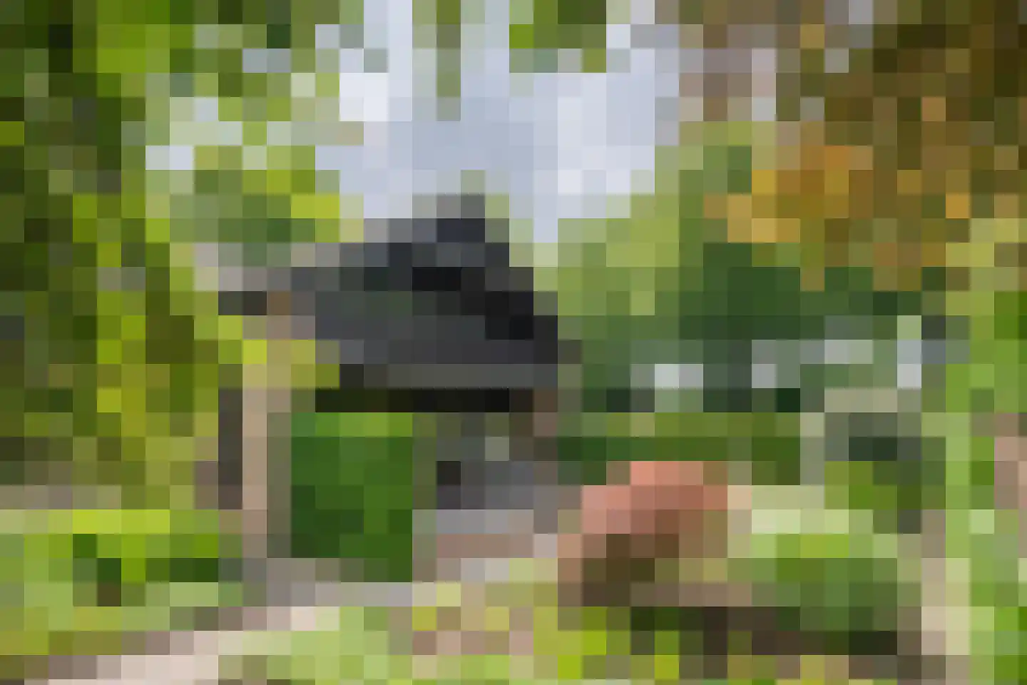 Leklaan 26 Ridderkerk thumbnail 4