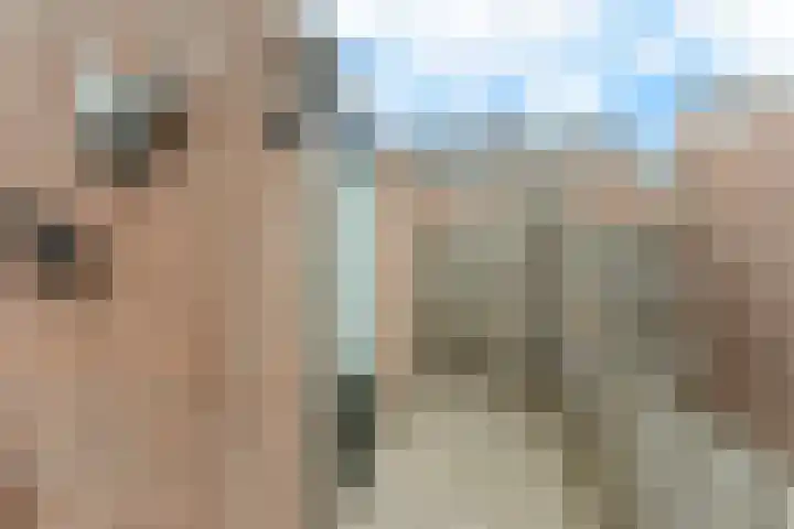 Leklaan 72 Ridderkerk thumbnail 36