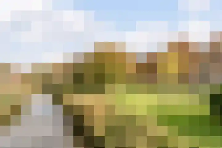 Leklaan 72 Ridderkerk thumbnail 41