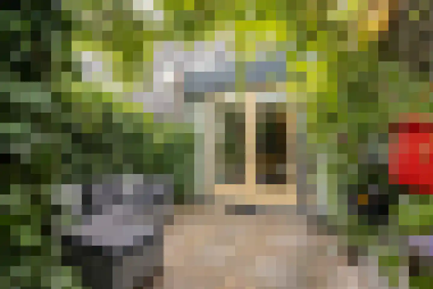 Lekplantsoen 17 Utrecht thumbnail 19